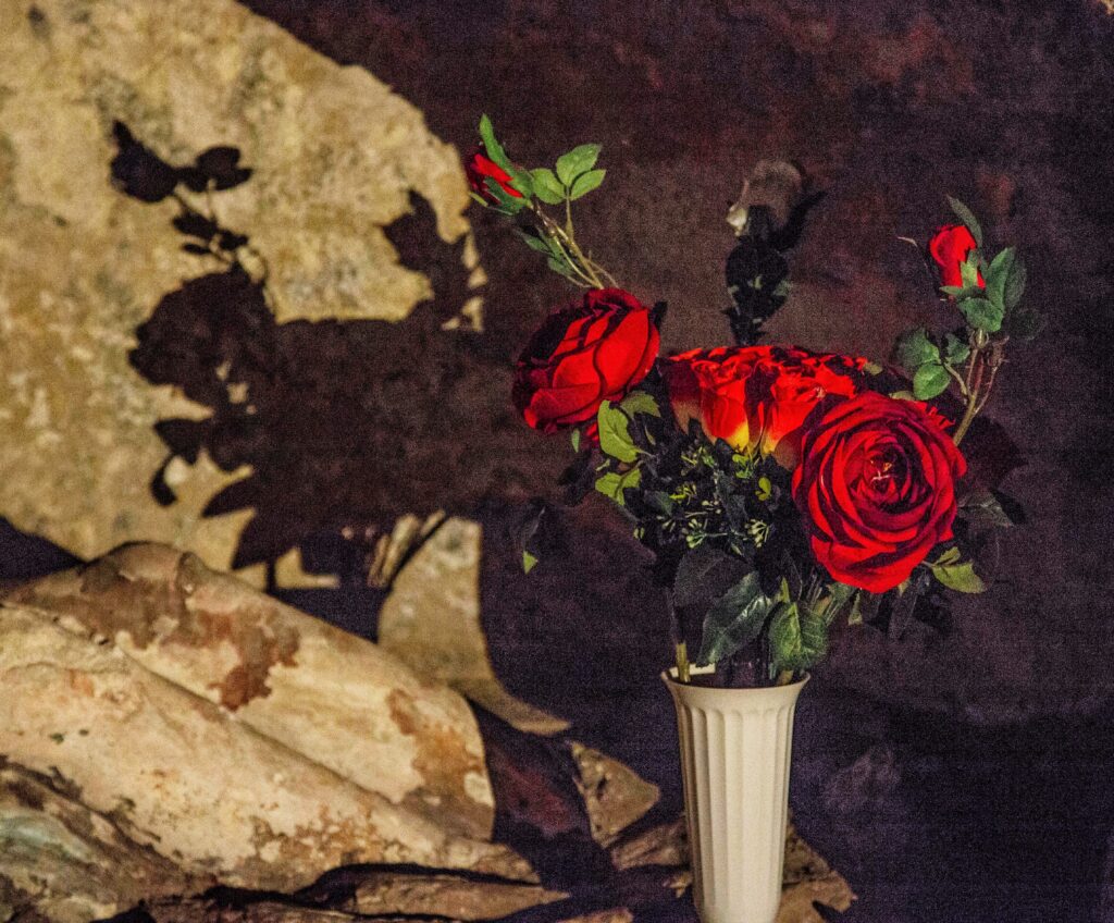 cimitero rione sanità napoli